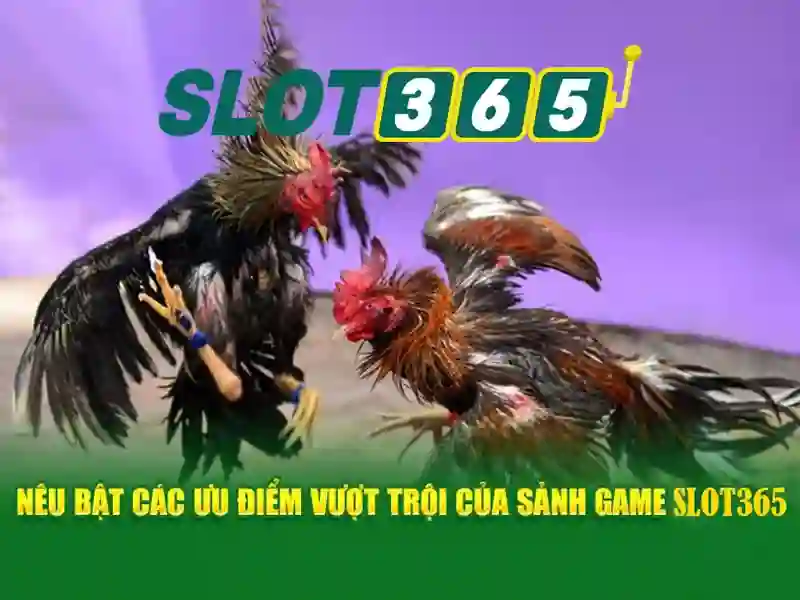 Việt Vị Trong Bóng Đá