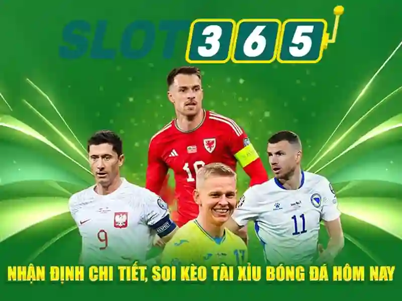 slot365-rtp-fairness