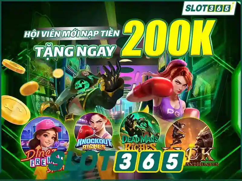 Trải nghiệm người dùng và giao diện