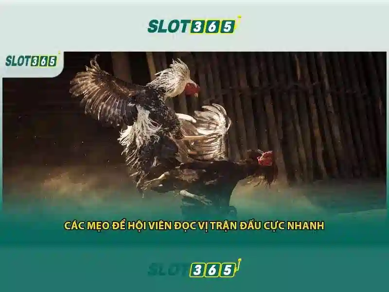 Việt Vị Trong Bóng Đá