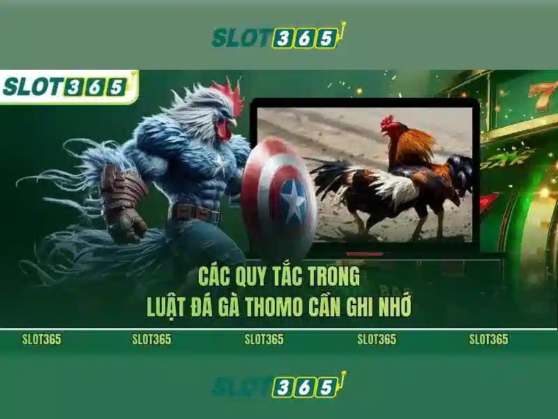 Trải nghiệm chơi slot trên Slot365