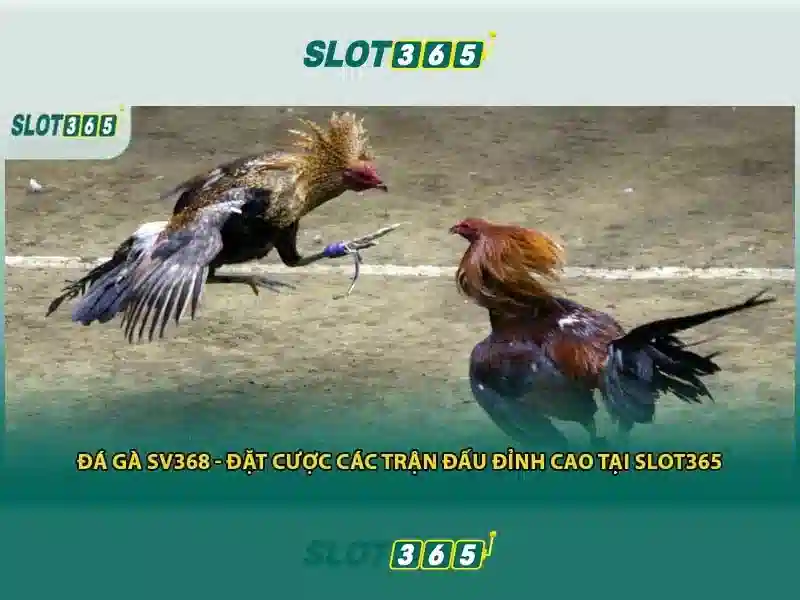 An toàn và bảo mật