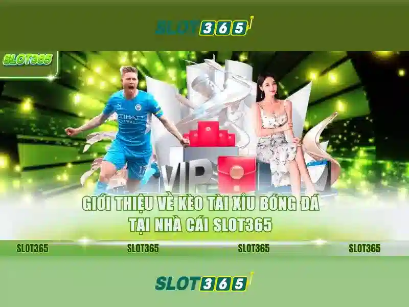 Slot365 và các tính năng nổi bật