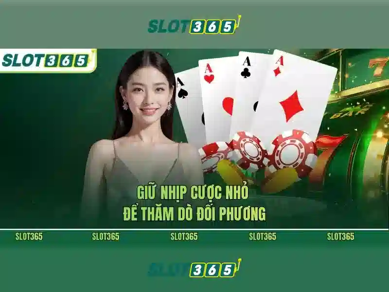 Trải nghiệm người dùng