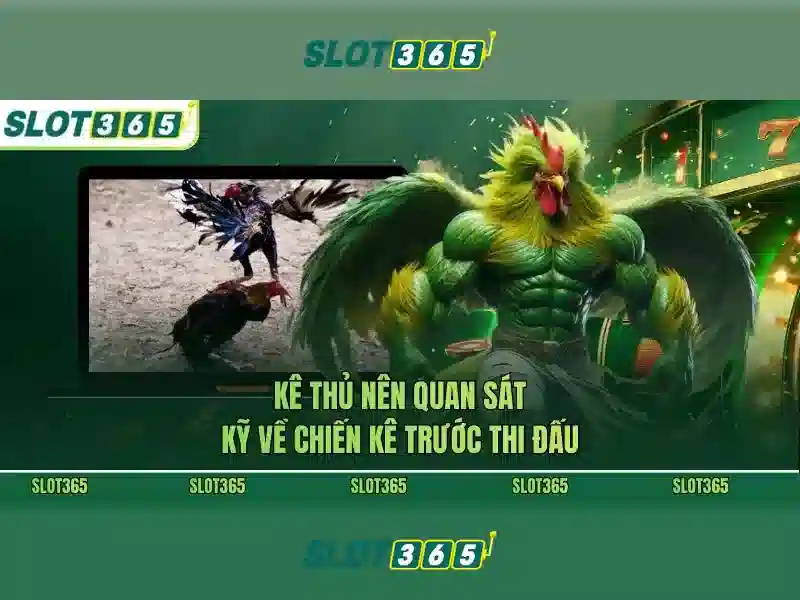 Slot365 – Trải nghiệm slots trực tuyến đỉnh cao