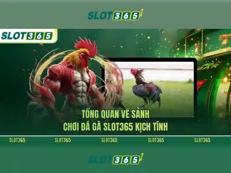 Danh mục trò chơi đa dạng Danh mục trò chơi đa dạng
