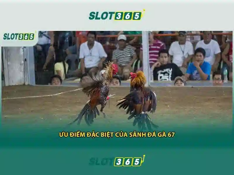 Các trò chơi nổi bật trên Slot365 Các trò chơi nổi bật trên Slot365