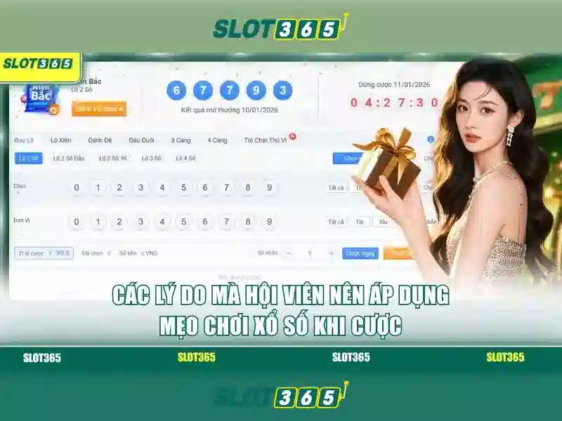 Trải nghiệm người dùng và giao diện Trải nghiệm người dùng và giao diện