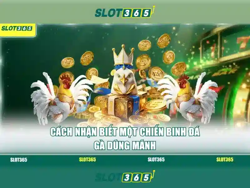 Việt Vị Trong Bóng Đá
