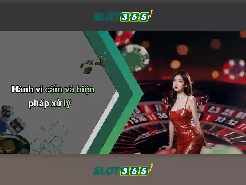 Trải nghiệm người dùng và giao diện