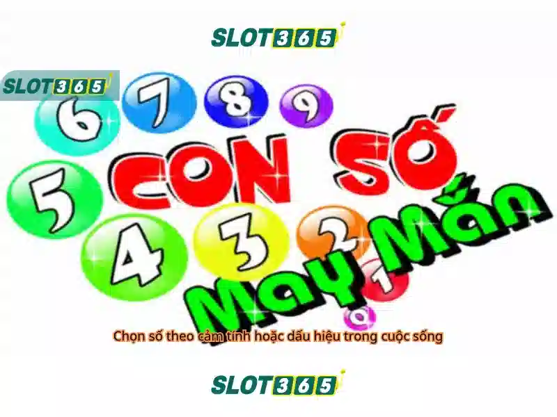 Các điểm nổi bật của Slot365 Các điểm nổi bật của Slot365