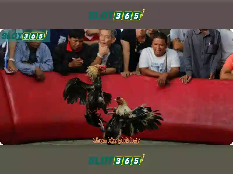 Slot365 là gì?