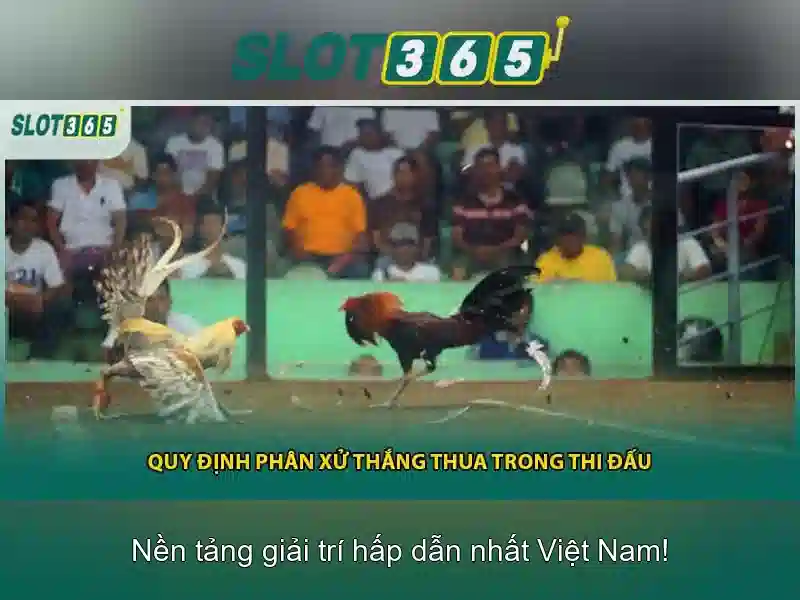 Đặc điểm nổi bật