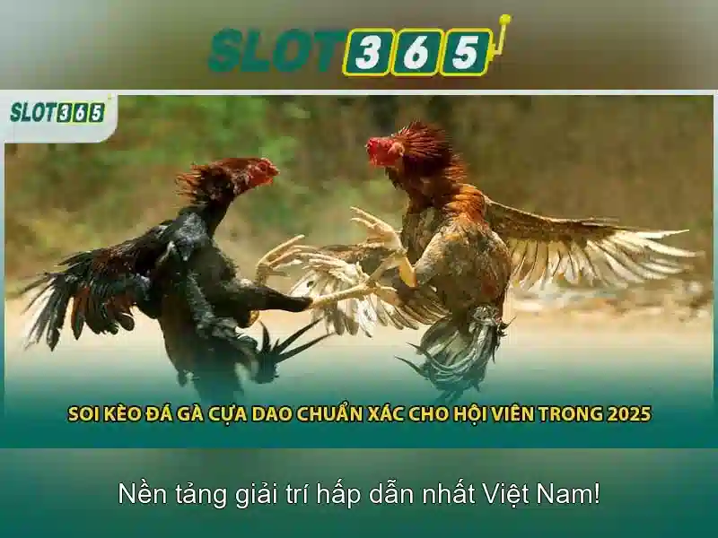 Slot365: Nền tảng trò chơi slot trực tuyến phổ biến Slot365: Nền tảng trò chơi slot trực tuyến phổ biến