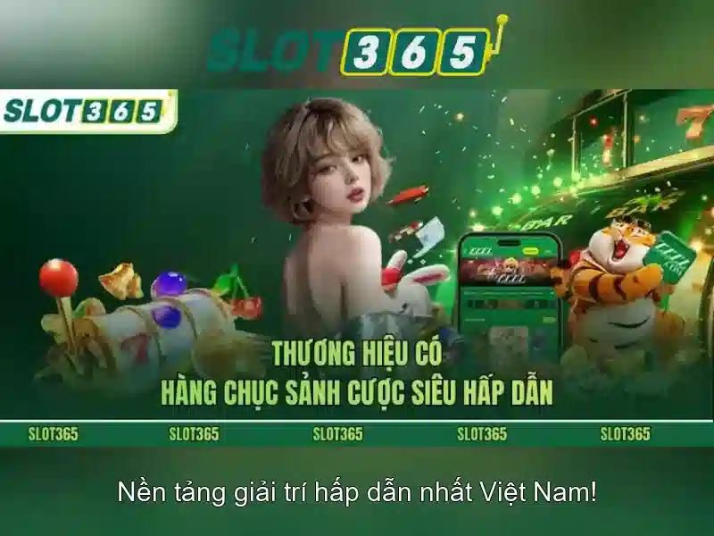 Lời kết