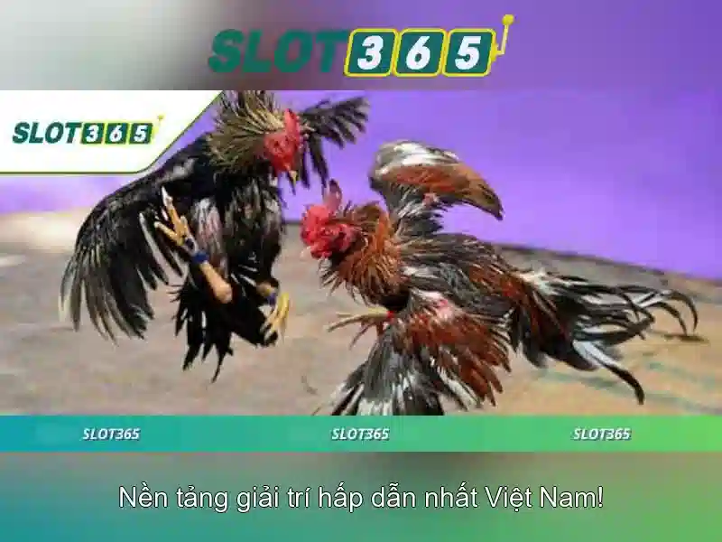 Khuyến mãi và thưởng Khuyến mãi và thưởng