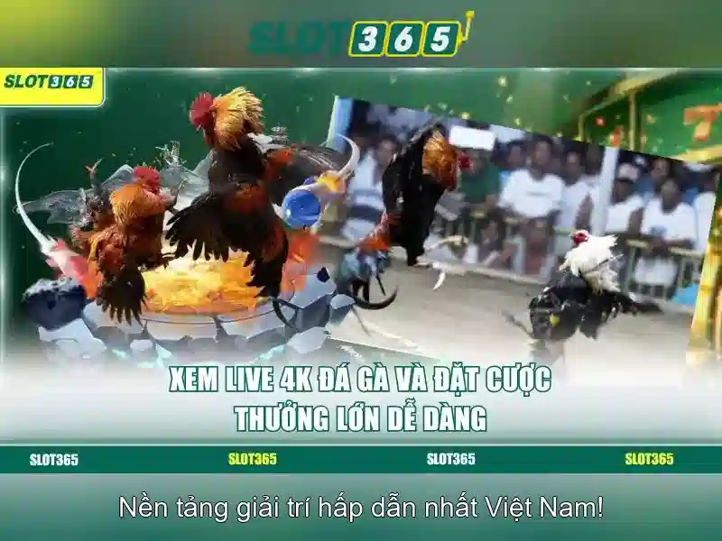 Giới thiệu về Slot365 Giới thiệu về Slot365
