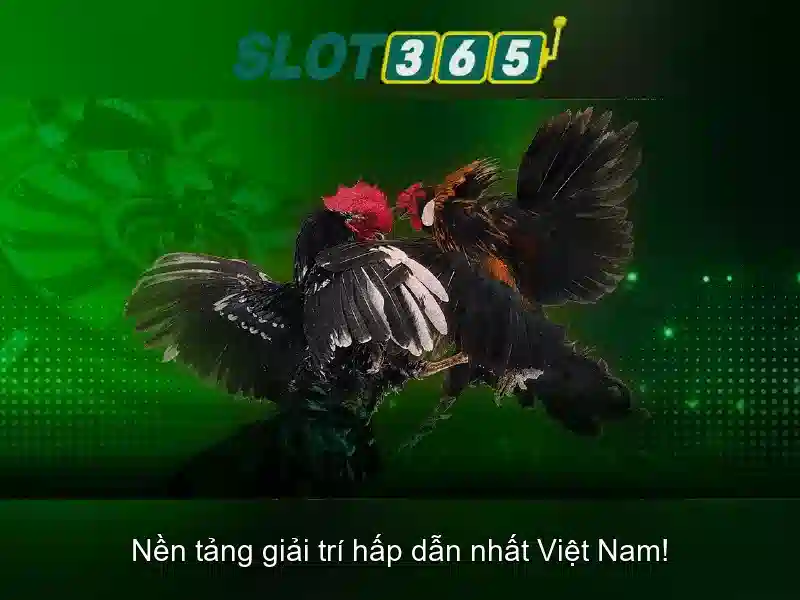 Slot365 là nền tảng xèng trực tuyến phổ biến