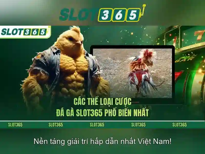 Trải nghiệm người chơi Trải nghiệm người chơi
