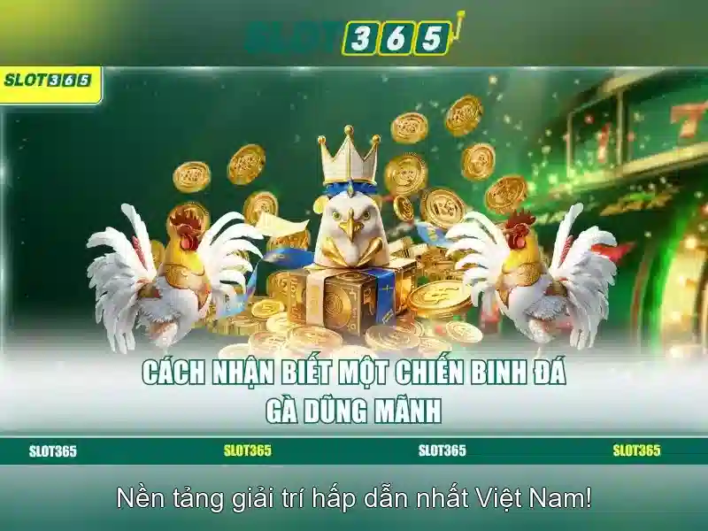 Tại sao chọn Slot365? Tại sao chọn Slot365?