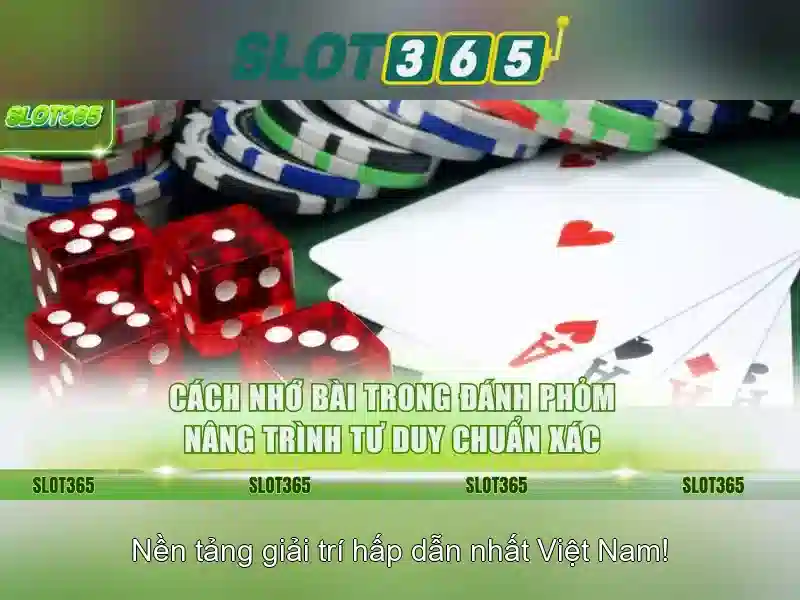 Slot365 là gì? Slot365 là gì?