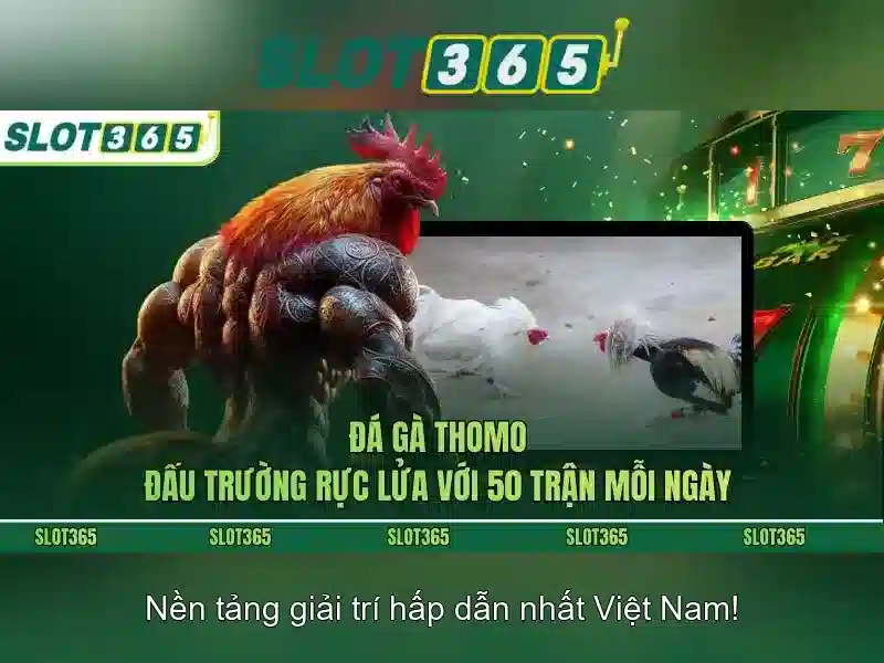 Slot365 là gì và tại sao được người chơi tin dùng Slot365 là gì và tại sao được người chơi tin dùng