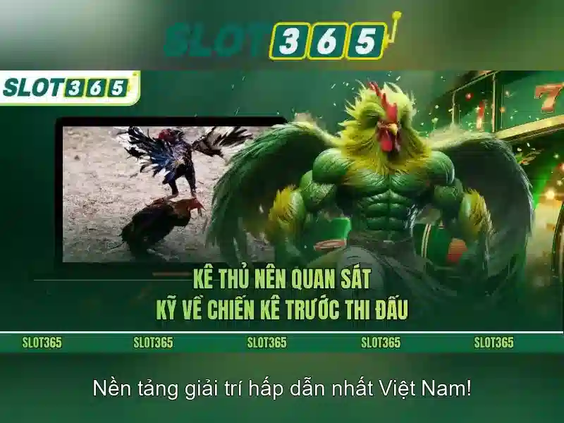 Giao diện và trải nghiệm người dùng