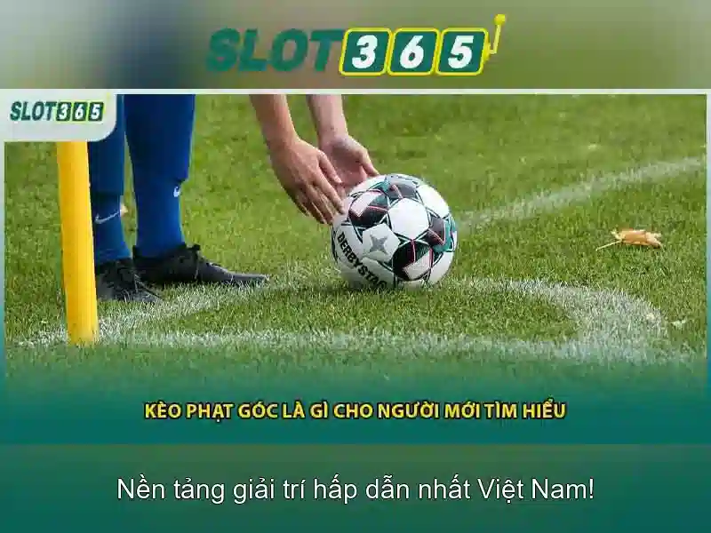 Tại sao người chơi chọn Slot365 Tại sao người chơi chọn Slot365