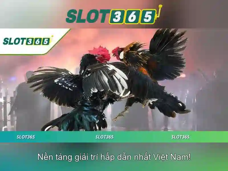 An toàn và thanh toán tại Slot365