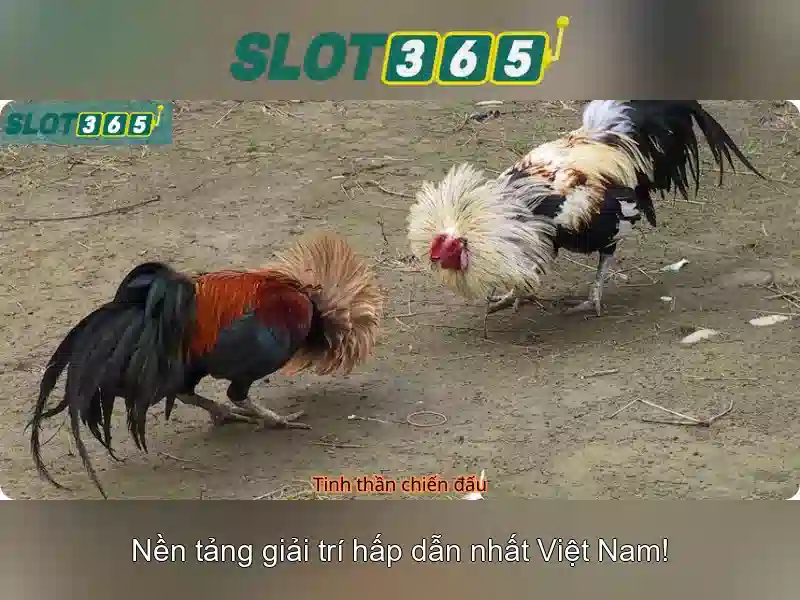 Việt Vị Trong Bóng Đá
