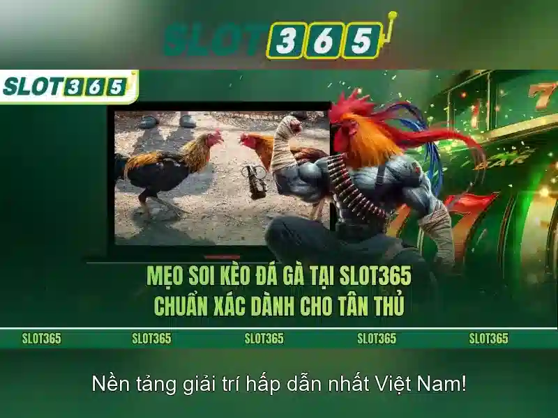 Giới thiệu về Slot365