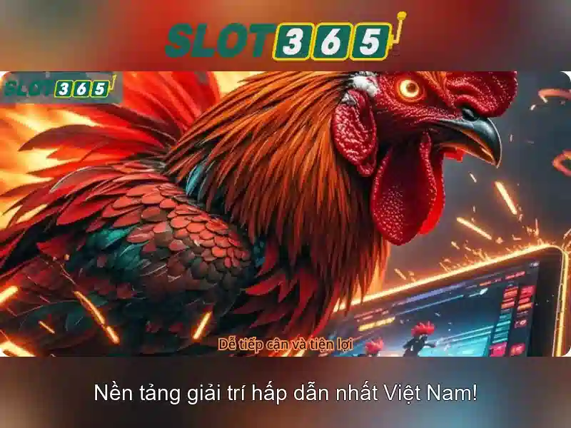 Slot365 mang đến trải nghiệm chơi slot đầy nổi bật