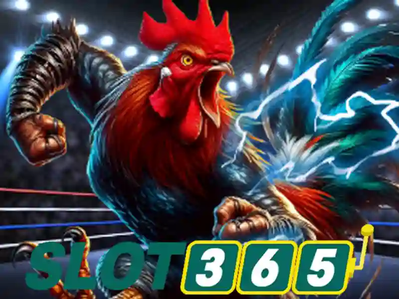 Slot365 – Trải nghiệm slot trực tuyến đáng tin cậy Slot365 – Trải nghiệm slot trực tuyến đáng tin cậy
