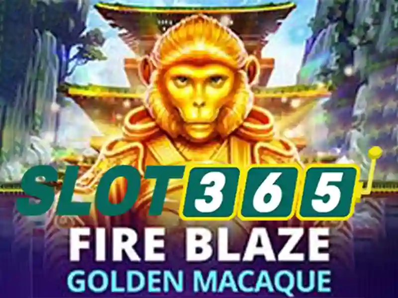 live_casino_trai_slot365